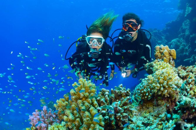 Dive at Tulamben Bali USS Liberty Ship Wreck - Who this tour is best for (and who should think twice)
