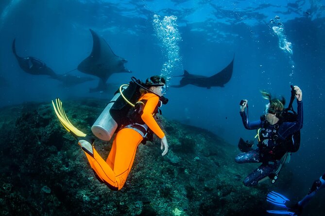 Diving in Nusa Penida - Key Things I’d Focus On Before You Go