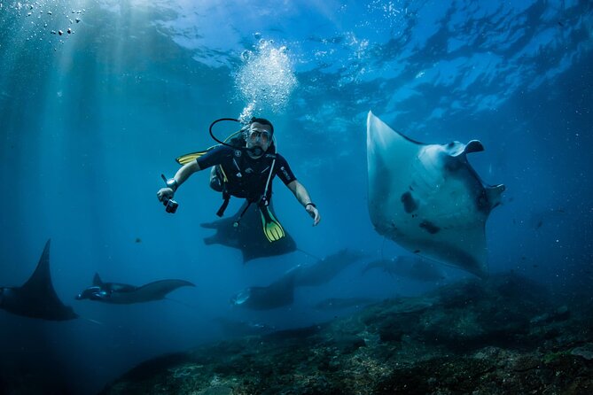 Diving in Nusa Penida - The Timing: Meeting at 8:30, Ocean Time by Morning, Back by Around 14:00