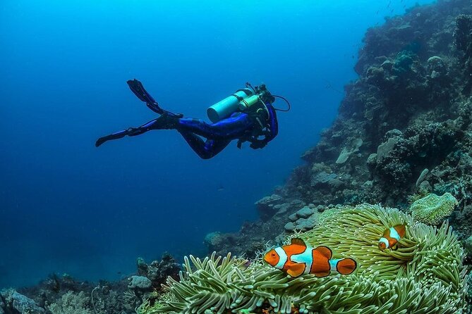Diving in Nusa Penida - Group Size and Instructor Style: Why Small Teams Feel Better Underwater