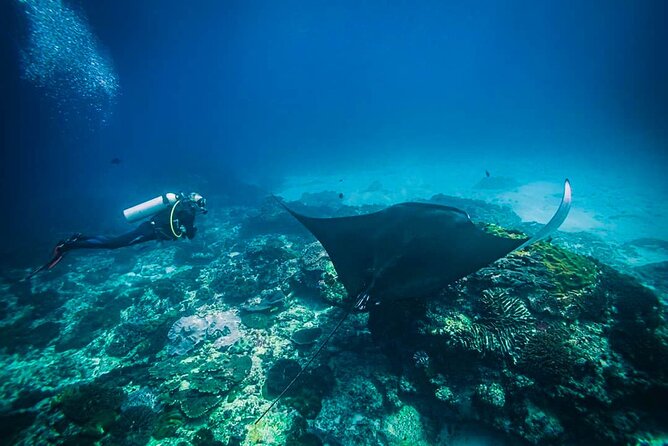 Diving in Nusa Penida - Discover Scuba Training: the Pool Session That Makes You Safer and Calmer