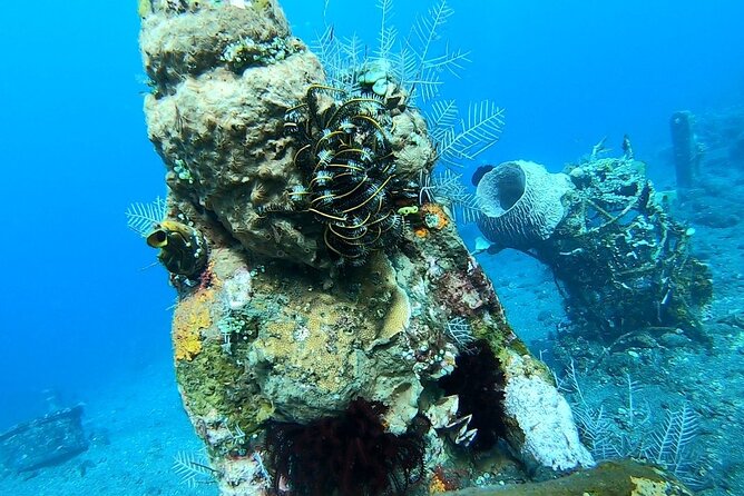 Diving in Tulamben - Arriving in Tulamben: calm water and the “shore entry” advantage