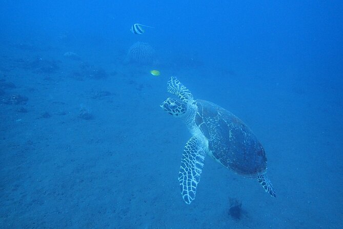 Diving in Tulamben - What to pack and how to avoid the small pain points