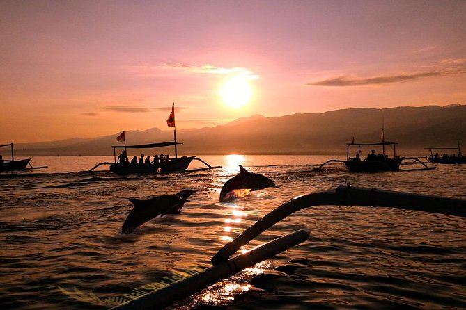 Dolphin Tour and Sunrise Watching in Lovina Beach - All Inclusive - Key tour highlights that matter in real life