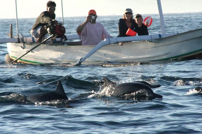 Dolphin Tour and Sunrise Watching in Lovina Beach - All Inclusive - Wanagiri Hidden Hills swing: photos with altitude over Lake Buyan