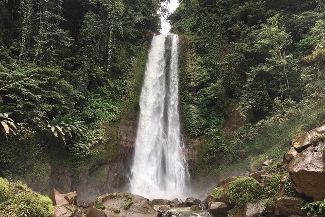 Dolphin Tour and Sunrise Watching in Lovina Beach - All Inclusive - Optional add-on: waterfall and temple time if you want more
