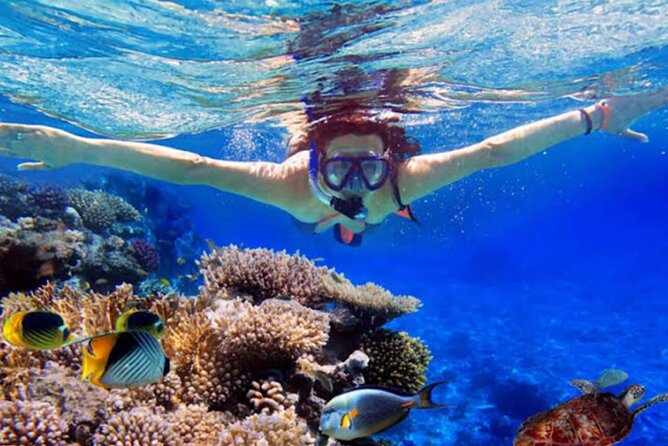 Dolphin Watching Tour, Swimming with Dolphins and Snorkeling - Lovina Sunrise Dolphin Watching: why this tour feels different