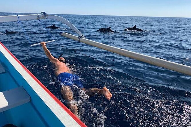 Dolphin Watching Tour, Swimming with Dolphins and Snorkeling - The practical logistics that make or break your morning