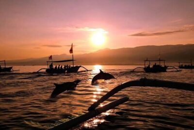 Dolphin Watching Tour, Swimming with Dolphins and Snorkeling - Ubud pickup to Lovina: the early-morning part (and how to handle it)