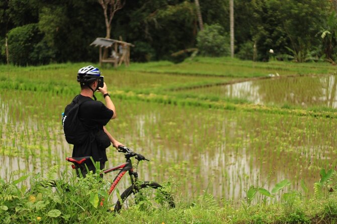 Downhill Cycling Ubud with Volcano, Rice Terrace and Educational - Your Guide Matters: From Ade to Dewa and the Team Style