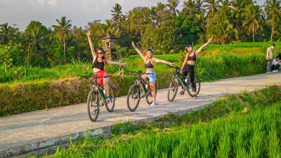 E-Bike: Ubud Rice Terraces & Traditional Villages Cycling - Ubud on an electric bike: why this format works