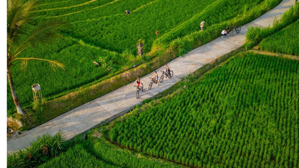 E-Bike: Ubud Rice Terraces & Traditional Villages Cycling - Village stops and local homes: culture you can see up close