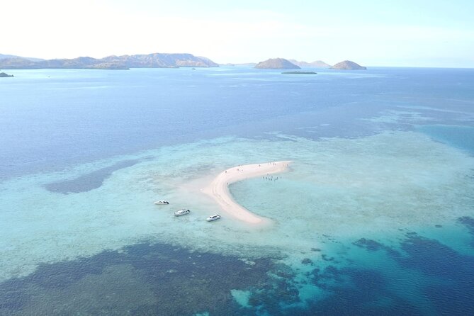 Early Bird Speedboat Group Tour : Explore Komodo Ahead of Crowds - Komodo Island with Rangers: Dragons, Rules, and a Real Wildlife Feel