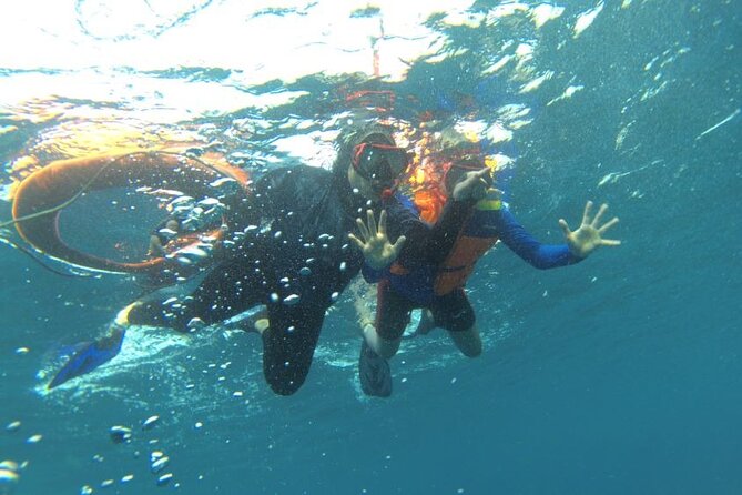 Early Bird Speedboat Group Tour : Explore Komodo Ahead of Crowds - Lunch Between Dragon Moments and Sandbar Magic