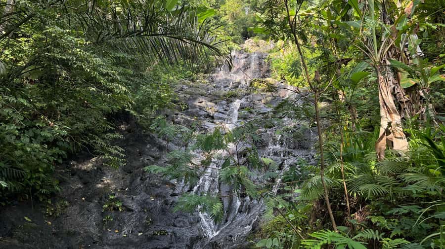 East Bali: Gembleng waterfall, Tenganan and Virgin beach - Tenganan Village and Pegringsingan culture: a different Bali Aga rhythm