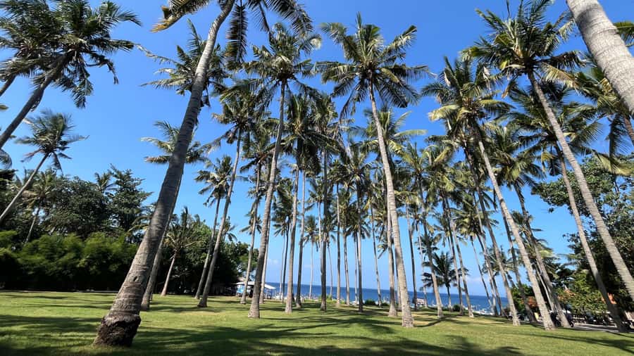 East Bali: Gembleng waterfall, Tenganan and Virgin beach - What to bring and what to skip for a smooth East Bali day
