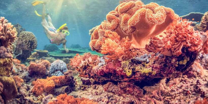 East Bali: Snorkeling Day Trip to Amed - Amed and Jemeluk Bay: Why This Snorkeling Style Works