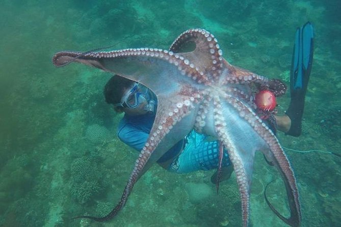 East Bali Spear Or Line Fishing Tour At Virgin Beach - Key points you’ll care about
