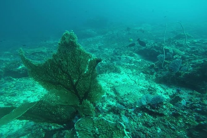 East Bali Spear Or Line Fishing Tour At Virgin Beach - Virgin Beach break: chairs, snorkel time, and lunch after the catch