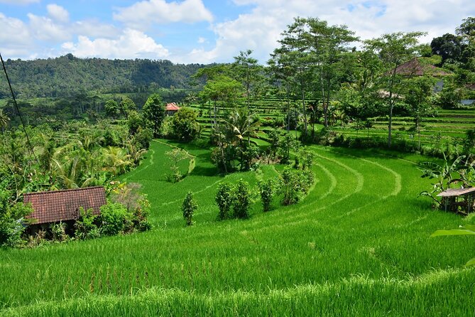 East Bali Tour: Gate of Heaven, Water Palace, Sleeping Gajah - Sidemen valley calm and lunch at Wapa di Ume (Sleeping Gajah)