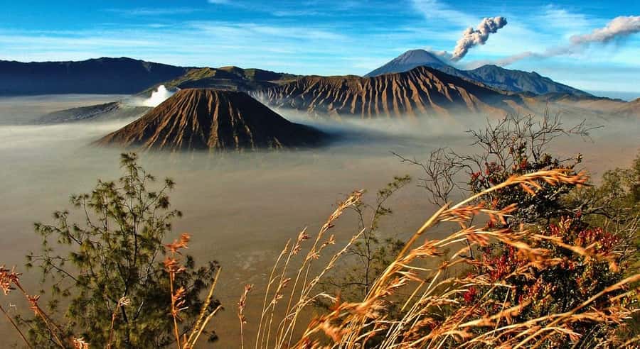 East Java: 3D2N Ijen Crater, Bromo, & Tumpak Sewu Waterfall - Accommodation and pacing: comfortable bases without losing the next sunrise