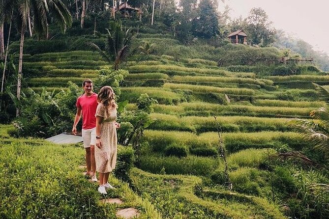 East of Bali Tour with Lempuyang Temple, Waterfall, Tirta gangga - Stop 2: Taman Sari Waterfall and Natural Pool