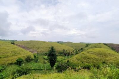 East Penida Tour - The 10-Hour Timeline: Pickup at 6:30 and Returning by 16:30