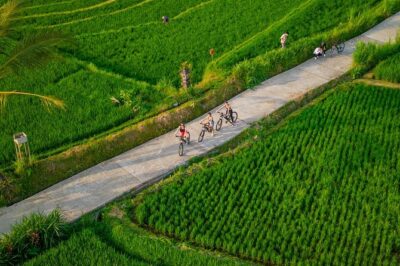 eBike Ubud Rice Terraces and Traditional Villages Cycling - Subak irrigation and rice paddies: why cycling changes the view