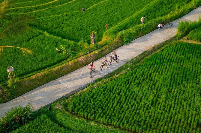 eBike Ubud Rice Terraces and Traditional Villages Cycling - Subak irrigation and rice paddies: why cycling changes the view