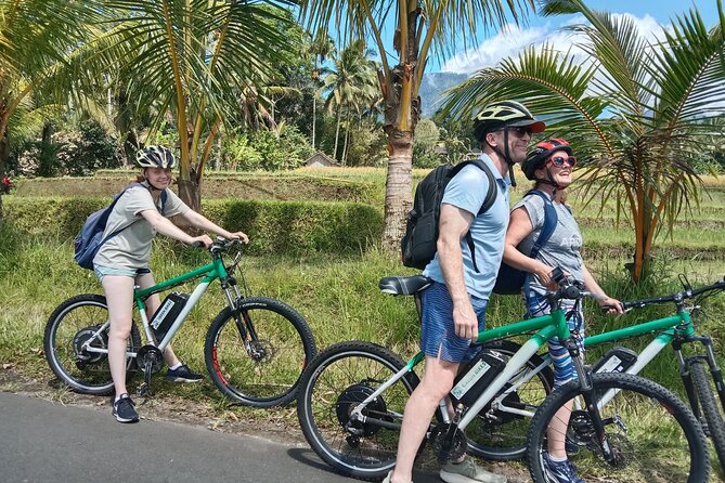 Electric bicycle tour in Jatiluwih UNESCO site - Electric bike ease meets real rice-farming country