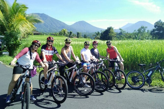Electric bicycle tour in Jatiluwih UNESCO site - Guides who talk rice, not just directions