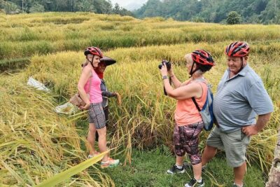 Electric bicycle tour in Jatiluwih UNESCO site - Bamboo forest, streams, and terrace edges: what you’ll actually see