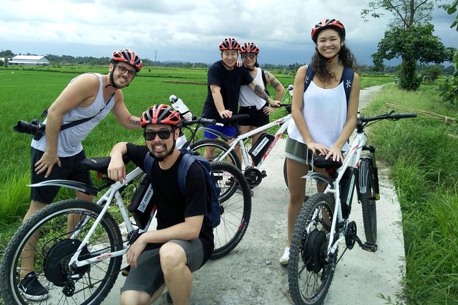 Electric bicycle tour in Jatiluwih UNESCO site - Lunch in the countryside: nasi campur with a view break