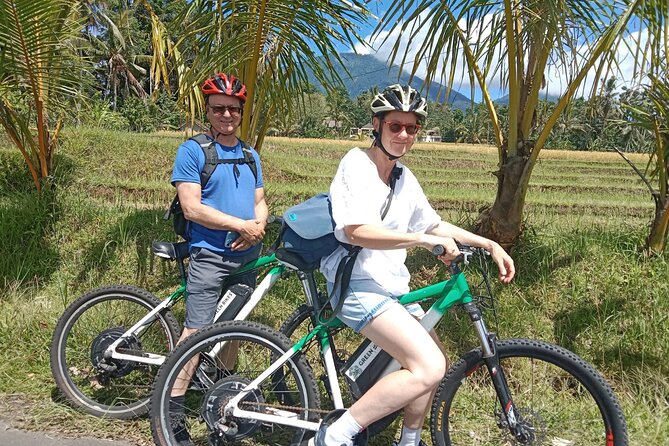 Electric bicycle tour in Jatiluwih UNESCO site - Price and value: what your $75 actually covers