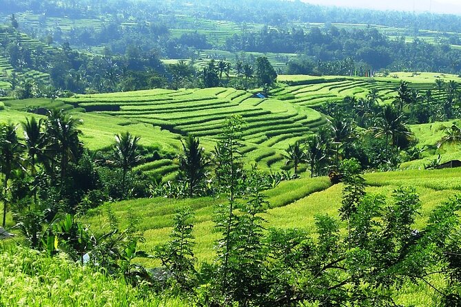Electric bicycle tour in Jatiluwih UNESCO site - Logistics that make the day smoother