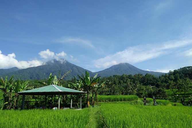 Electric bicycle tour in Jatiluwih UNESCO site - What to bring for comfort on Bali e-bike days