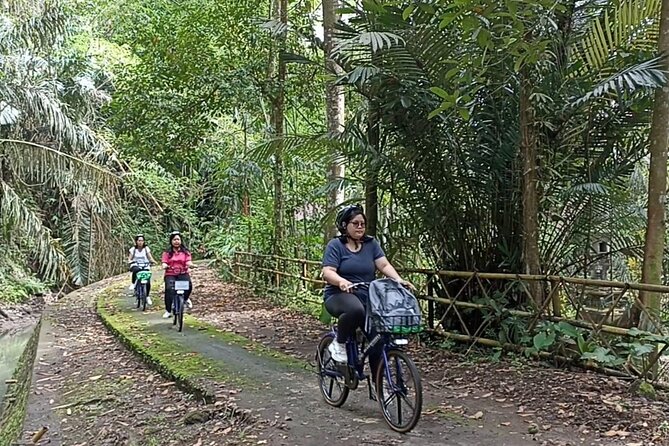 Electric bicycle tour in quaint South Ubud - Key things I’d book this for