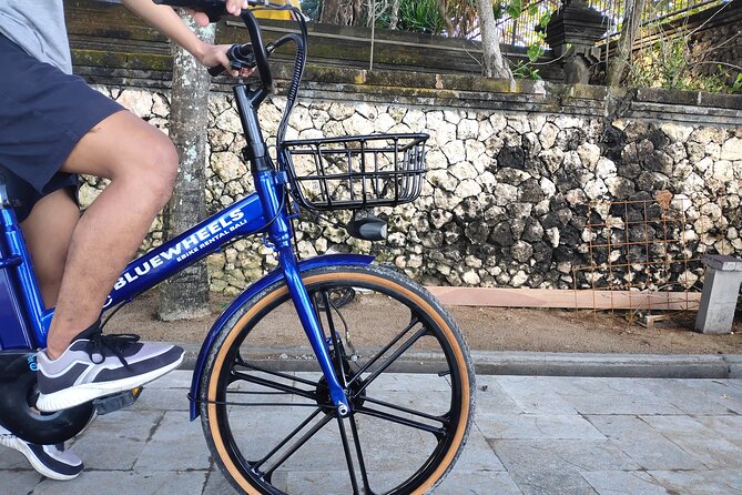 Electric bicycle tour in quaint South Ubud - What $49 actually covers (and why that’s good value)