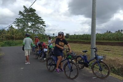 Electric bicycle tour in quaint South Ubud - The ride start in Mambal: rice and flower fields on farmer-used roads