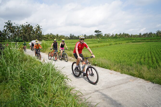 Electric Bike and Swing Package - Key things you’ll notice fast