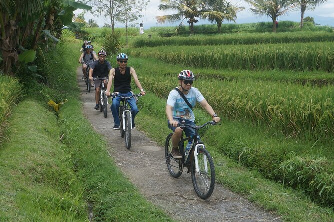 Electric Bike and Swing Package - Guides make or break the experience