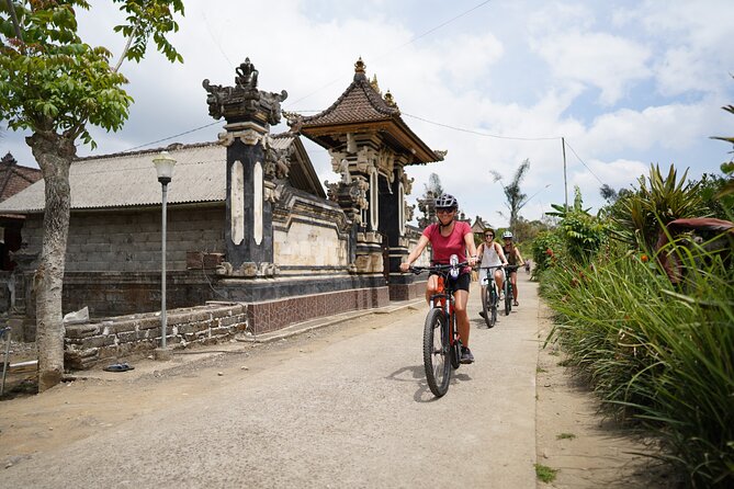 Electric Bike and Swing Package - Price and what $41 buys you