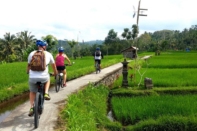 Electric Cycling Tour of Ubud with Free Hotel Transfer and Lunch - Price and what you actually get for $41