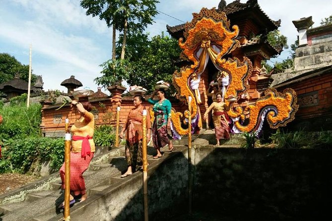 Electric Cycling Tour of Ubud with Free Hotel Transfer and Lunch - Stop 3: Ubud Jungle Swing and the coffee-plantation area
