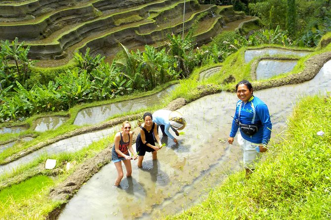 Electric Cycling Tour of Ubud with Free Hotel Transfer and Lunch - Lunch or dinner: a real meal after the ride