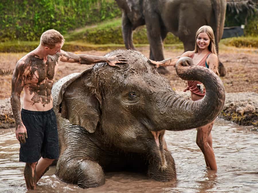 Elephant Care Experience with Mud Bath at Bali Zoo - Elephant Care at Bali Zoo: more than a photo stop