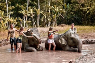 Elephant Care Experience with Mud Bath at Bali Zoo - Pickup and getting oriented at Bali Zoo