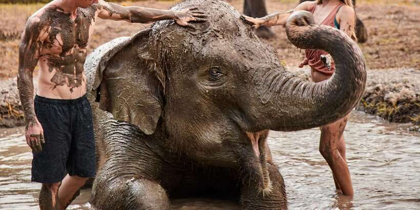 Elephant Care Experience with Mud Bath at Bali Zoo - River Wos splash: bathing, scrubbing, and cooling down