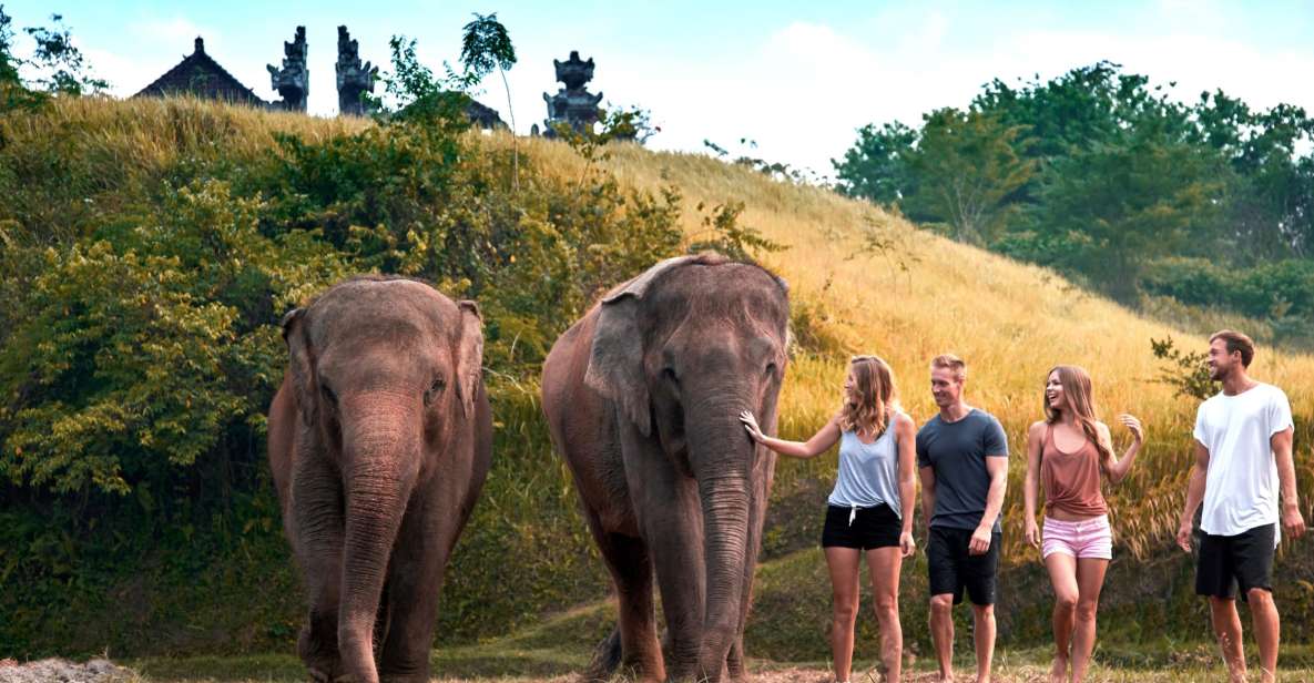Elephant Care Experience with Mud Bath at Bali Zoo - Optional breakfast with Orangutan: fun, but don’t expect full contact