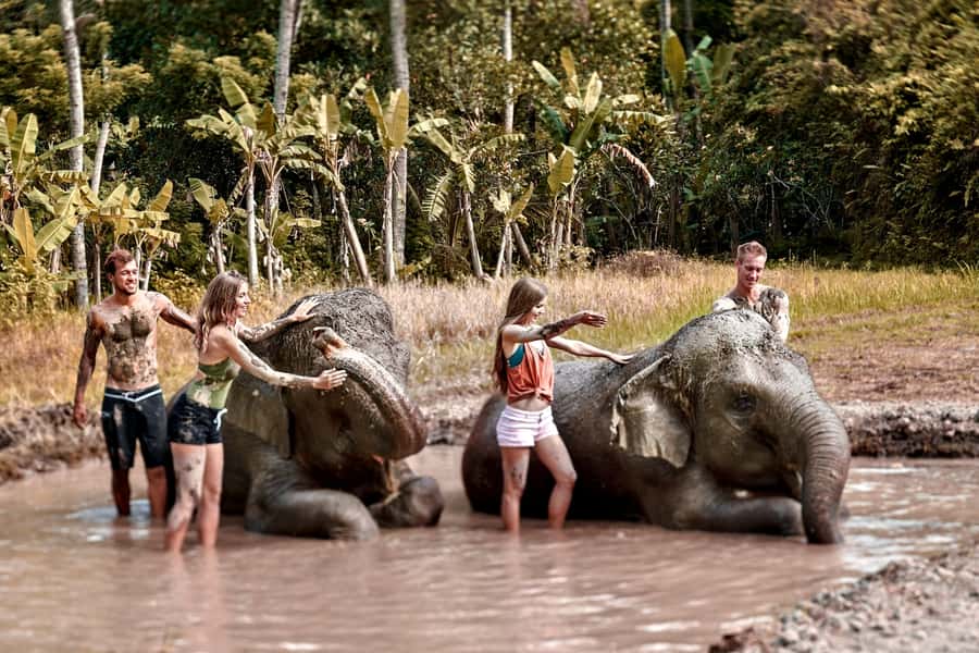 Elephant Care Experience with Mud Bath at Bali Zoo - Pickup and getting oriented at Bali Zoo